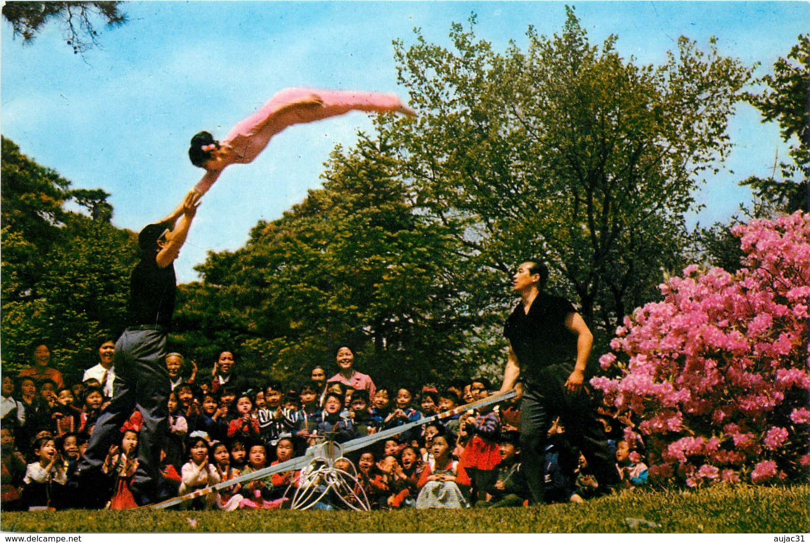 Corée Du Nord - Spectacle - Cirques - Pyongyang - 16 Cartes Avec Pochette Sur Le Cirque - Semi Moderne Grand Format - Corée Du Nord