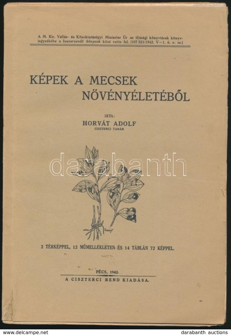 Horváth Adolf: Képek A Mecsek Növényéletéből. Pécs, 1942, Ciszterci Rend, (Taizs József-ny.), 103+1 P.+12 T.+ 1 Térkép.  - Ohne Zuordnung