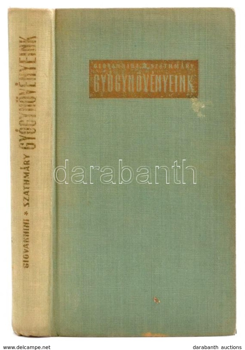 Giovanni Rudolf-Szathmáry Géza: Gyógynövények. Bp.,1961, Mezőgazdasági. Második, Javított Kiadás. Kiadói Kissé Fakó Egés - Unclassified