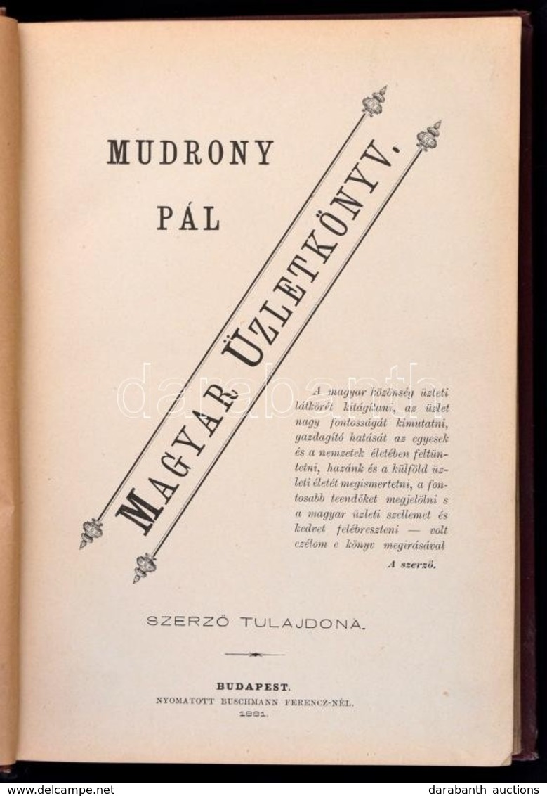 Mudrony Pál: Magyar Üzletkönyv. Bp., 1881, Szerzői Kiadás, Buschmann Ferenc-ny., 2+226 P. Korabeli Aranyozott Egészvászo - Non Classés