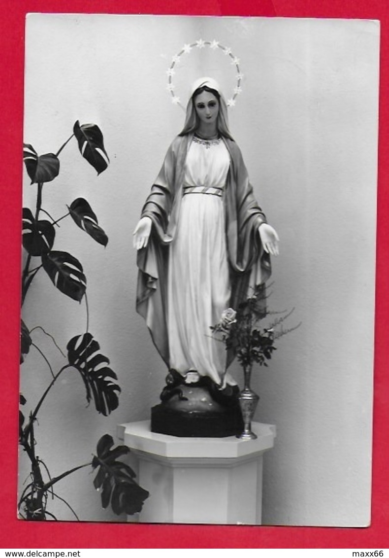 CARTOLINA VG ITALIA - Immacolata - Studentato S. Maria Bambina BELLUNO - 10 X 15 - 1971 ZOLDO ALTO - Vergine Maria E Madonne