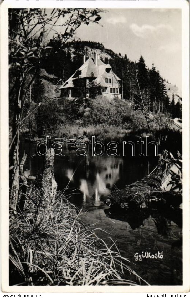 * T2 Borszék, Borsec; Gyilkos Tó. Heiter György Udv. Fényképész Felvétele / Lacul Rosu / Lake, Chalet - Unclassified