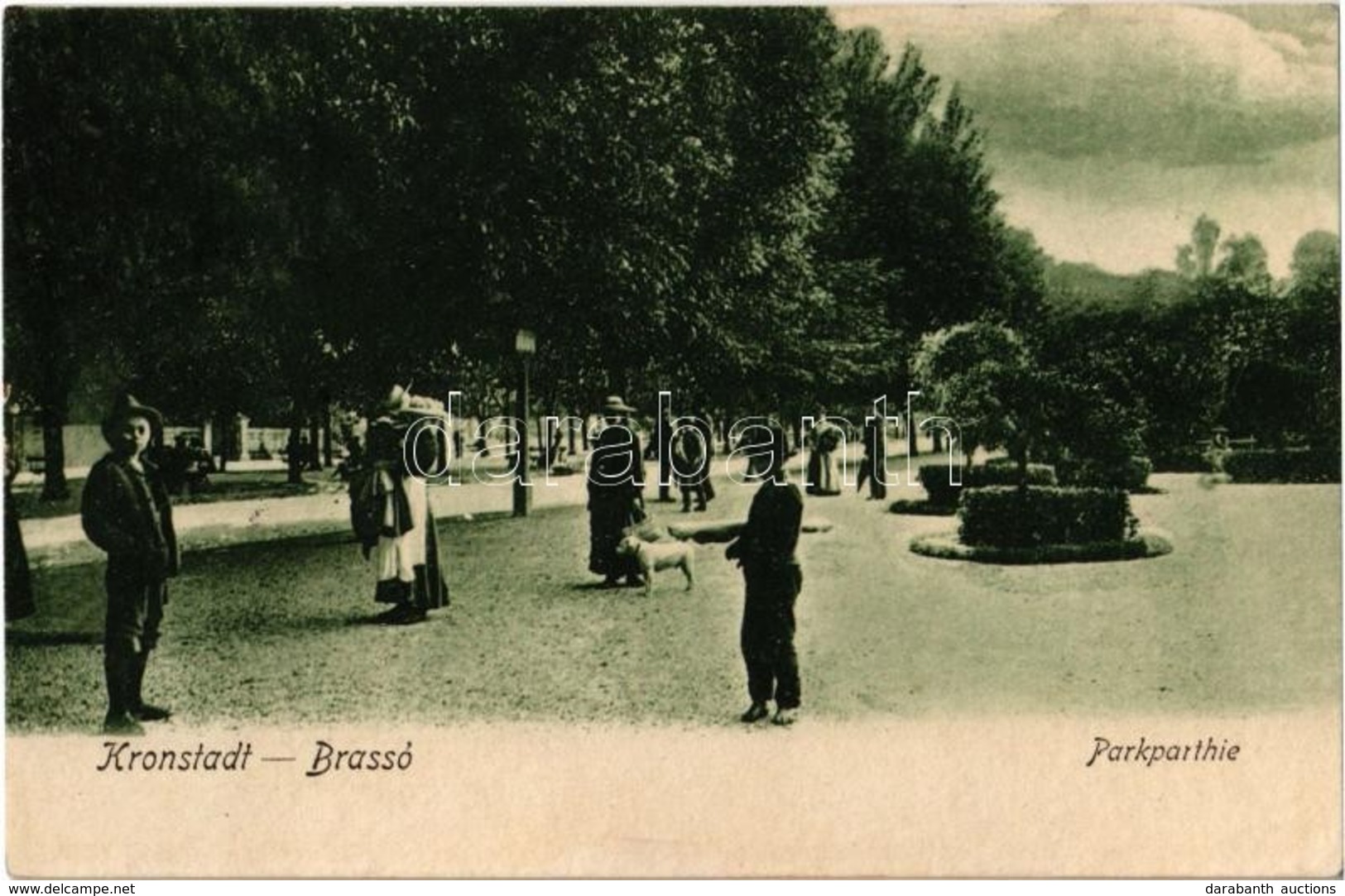 T3 1909 Brassó, Kronstadt, Brasov; Park, Hölgy Kutyával / Park, Lady With Dog (r) - Unclassified