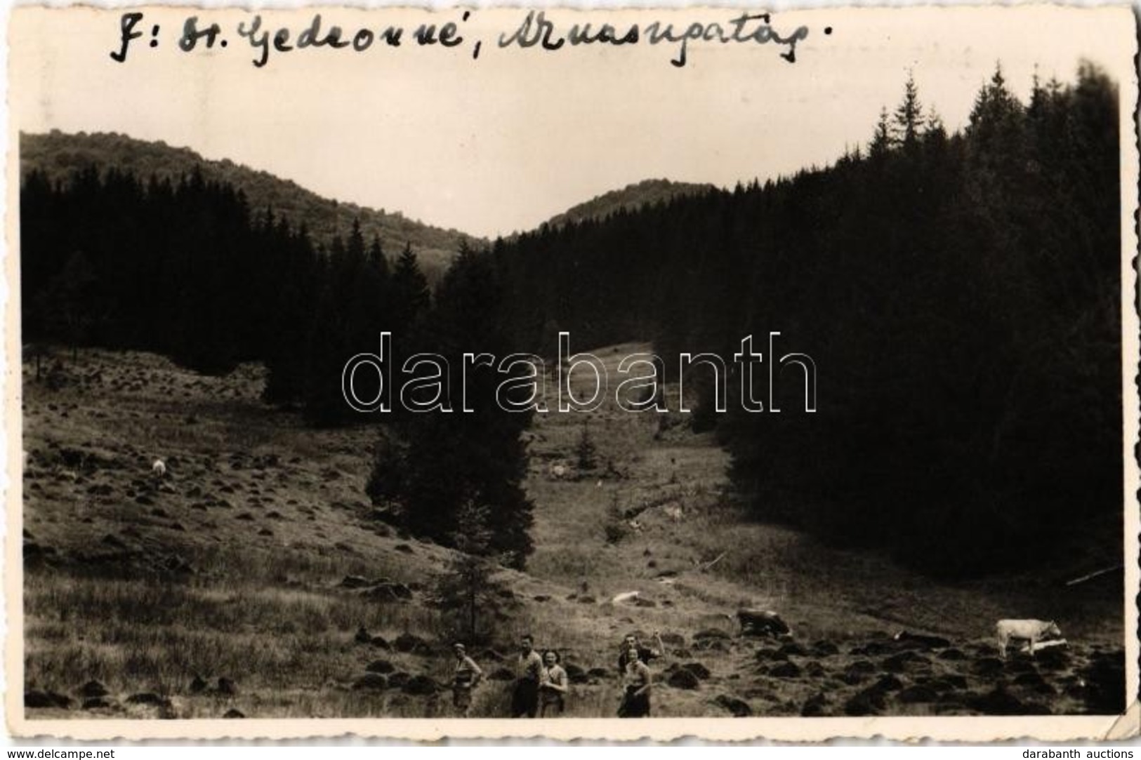 T2/T3 1941 Máramarossziget, Sighetu Marmatiei; Gutin-hegység, Kirándulók, Turisták. Kiadja Perl Könyvkereskedése / Munti - Ohne Zuordnung