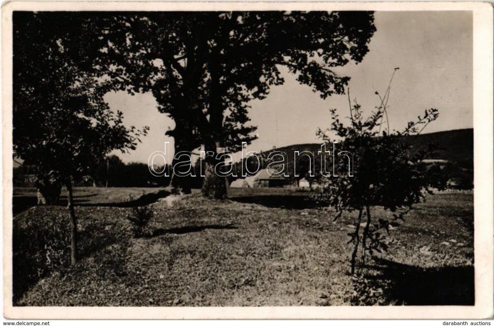 T2 1943 Zágon, Zagon; Mikes Kelemen Tölgyfái. Kiadja Lapikás Béla / The Oak Trees Of Kelemen Mikes - Ohne Zuordnung