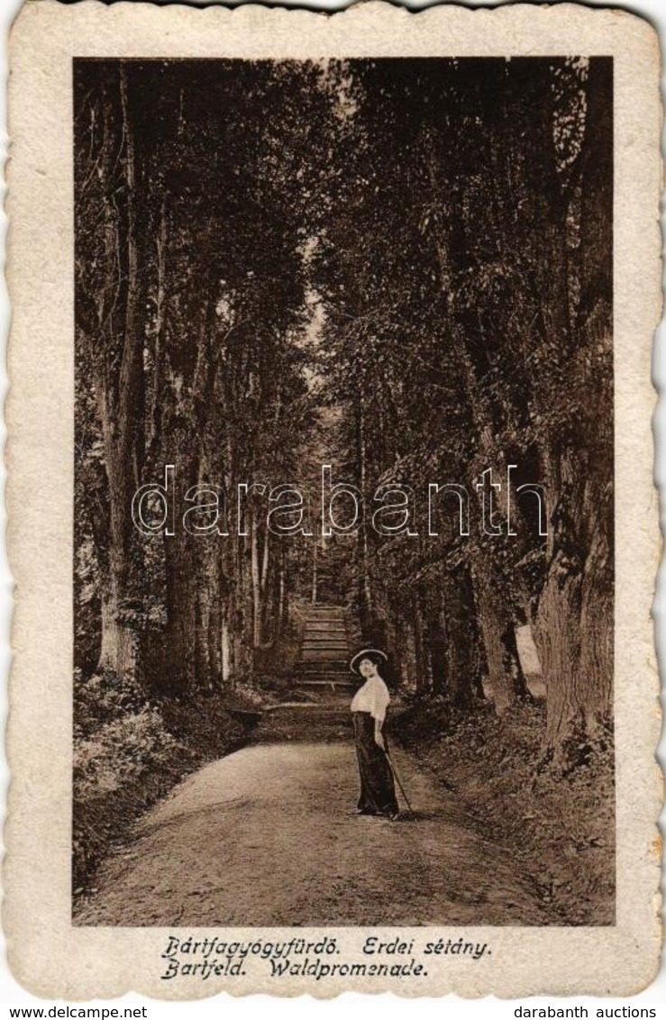 * T2/T3 1920 Bártfa, Bártfafürdő, Bardejovské Kúpele, Bardiov, Bardejov;  Erdei Sétány / Waldpromenade / Forest Promenad - Non Classés