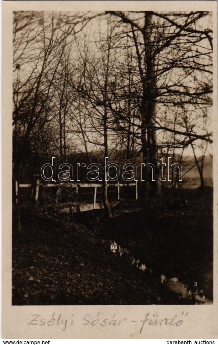 T2 1934 Zsély, Zelovce; Sósárfürdő, Park, Híd. G. Jilovsky Kiadása / Sosárske Lázne. Ciastka Parku / Spa, Park, Bridge - Unclassified