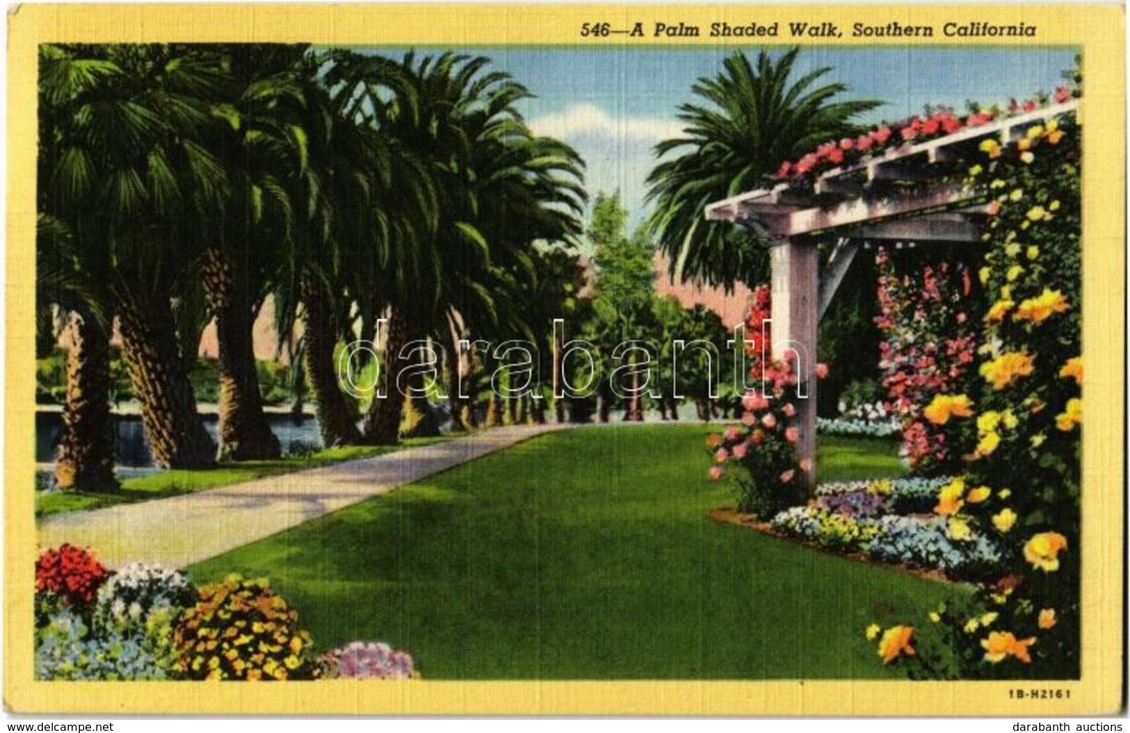 T1/T2 1949 Southern California, A Palm Shaded Walk - Unclassified