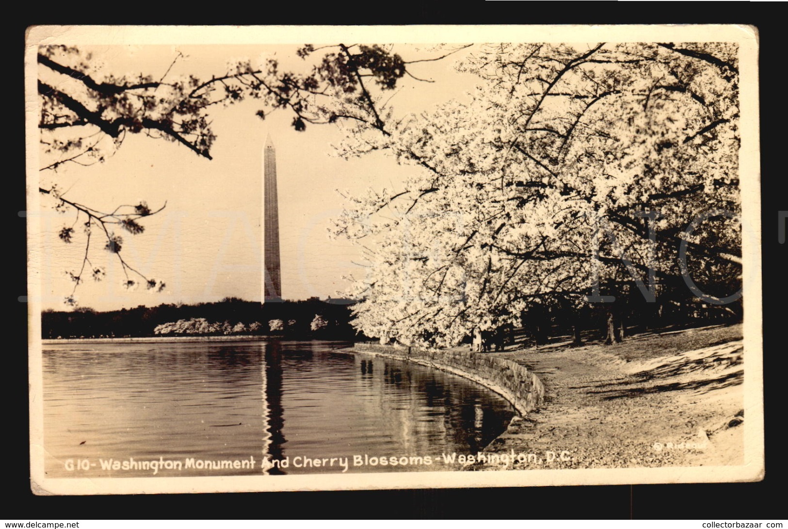 Washington Monuent And Cherry Blossom Washington Dc Real Photo Postcard Ca1930 W5-736 - Washington DC