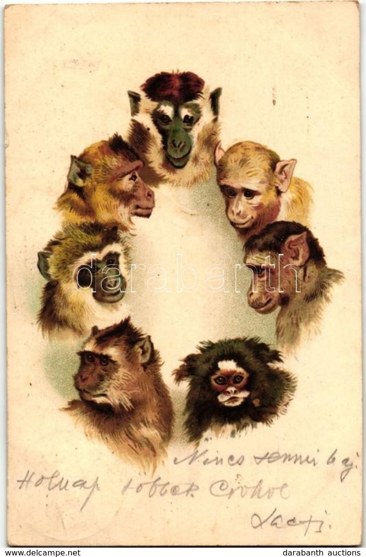 T2 Apes, Monkeys, Litho - Non Classés