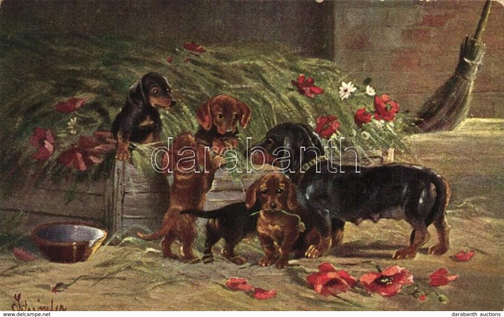 * T2/T3 Dachshund Dog, Art Postcard, Erika No. 3952 S: Schröpler (EK) - Ohne Zuordnung