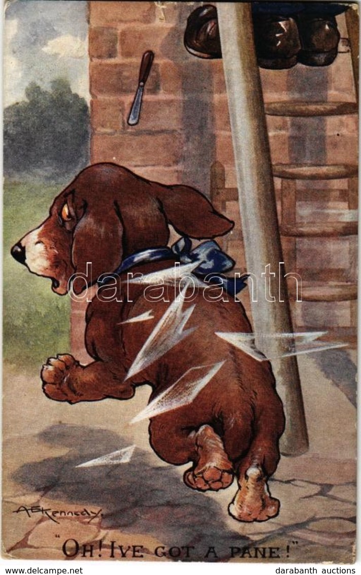 ** T2/T3 Oh' I've Got A Pane! Humorous Dog Motive Card. C. W. Faulkner & Co. Series 1419. S: A. E. Kennedy (EK) - Ohne Zuordnung