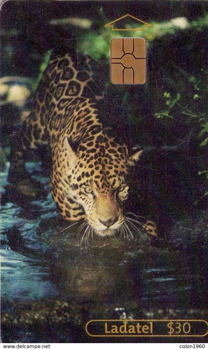 TARJETA TELEFONICA DE MEXICO (FAUNA). (041) - Otros & Sin Clasificación