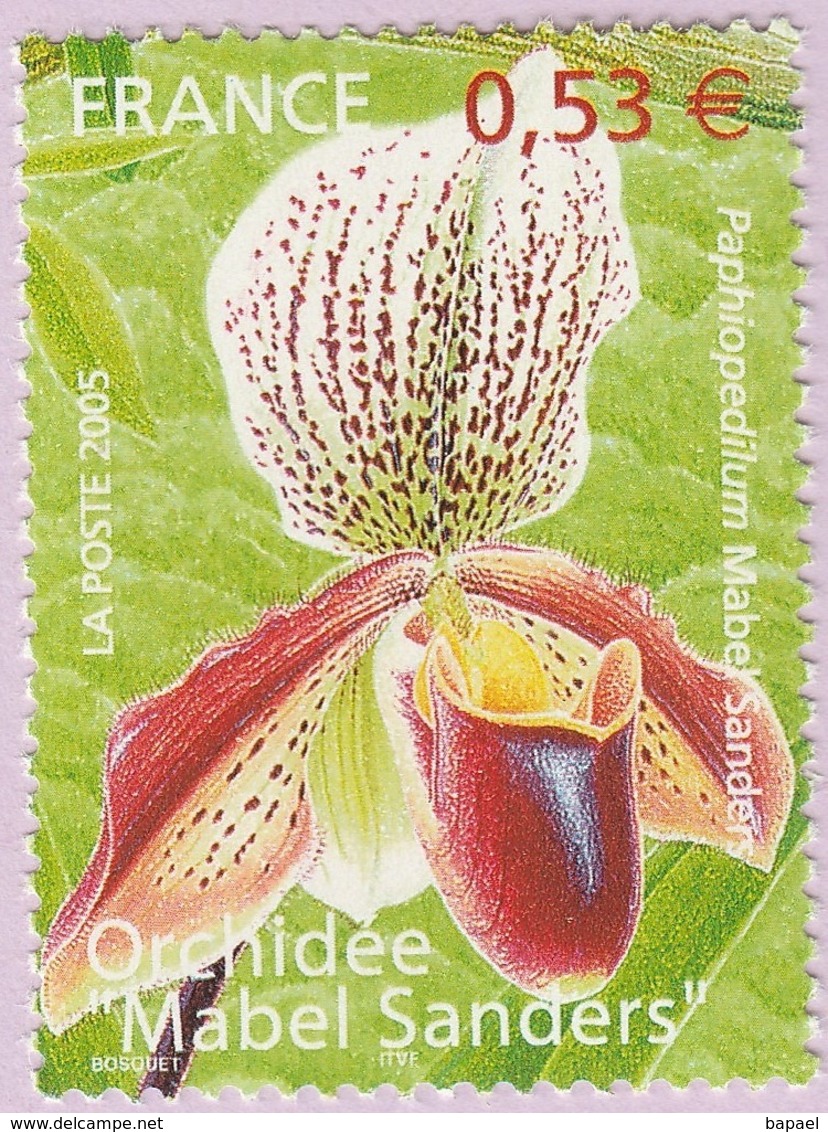 N° Yvert & Tellier 3763 - Timbre De France (Année 2005) - MNH - Série Nature - Orchidée (Mabel Sanders) - Neufs