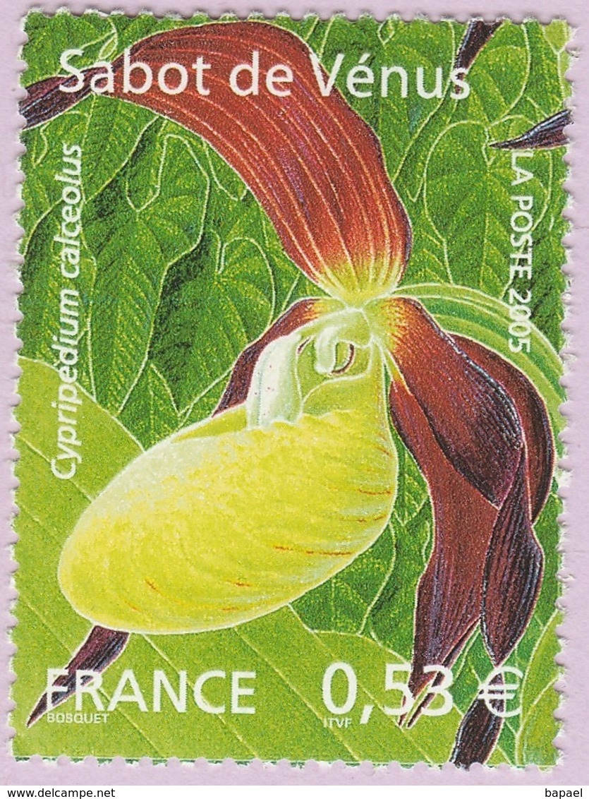 N° Yvert & Tellier 3764 - Timbre De France (Année 2005) - MNH - Série Nature - Orchidée (Sabot De Vénus) - Neufs