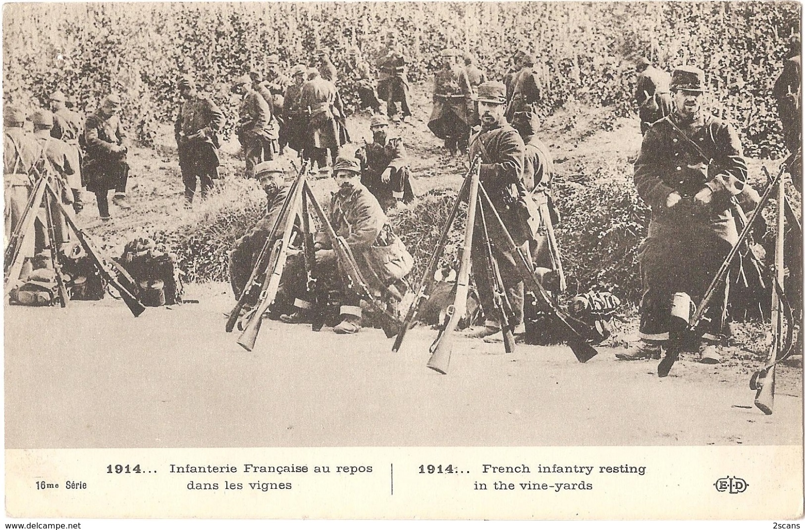 1914... Infanterie Française Au Repos Dans Les Vignes - (ELD) - Guerra 1914-18