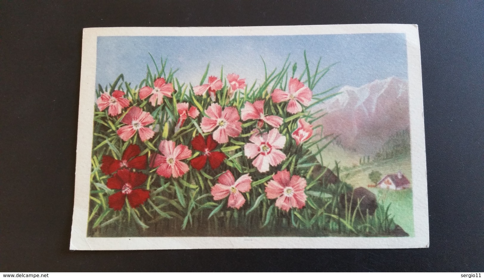 Carte Postale -Fleurs - Année 1947 - Timbre N° YetT 719B - Otros & Sin Clasificación