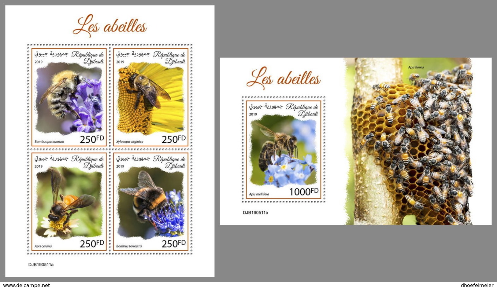 DJIBOUTI 2019 MNH Bees Bienen Abeilles M/S+S/S - OFFICIAL ISSUE - DH1941 - Abejas