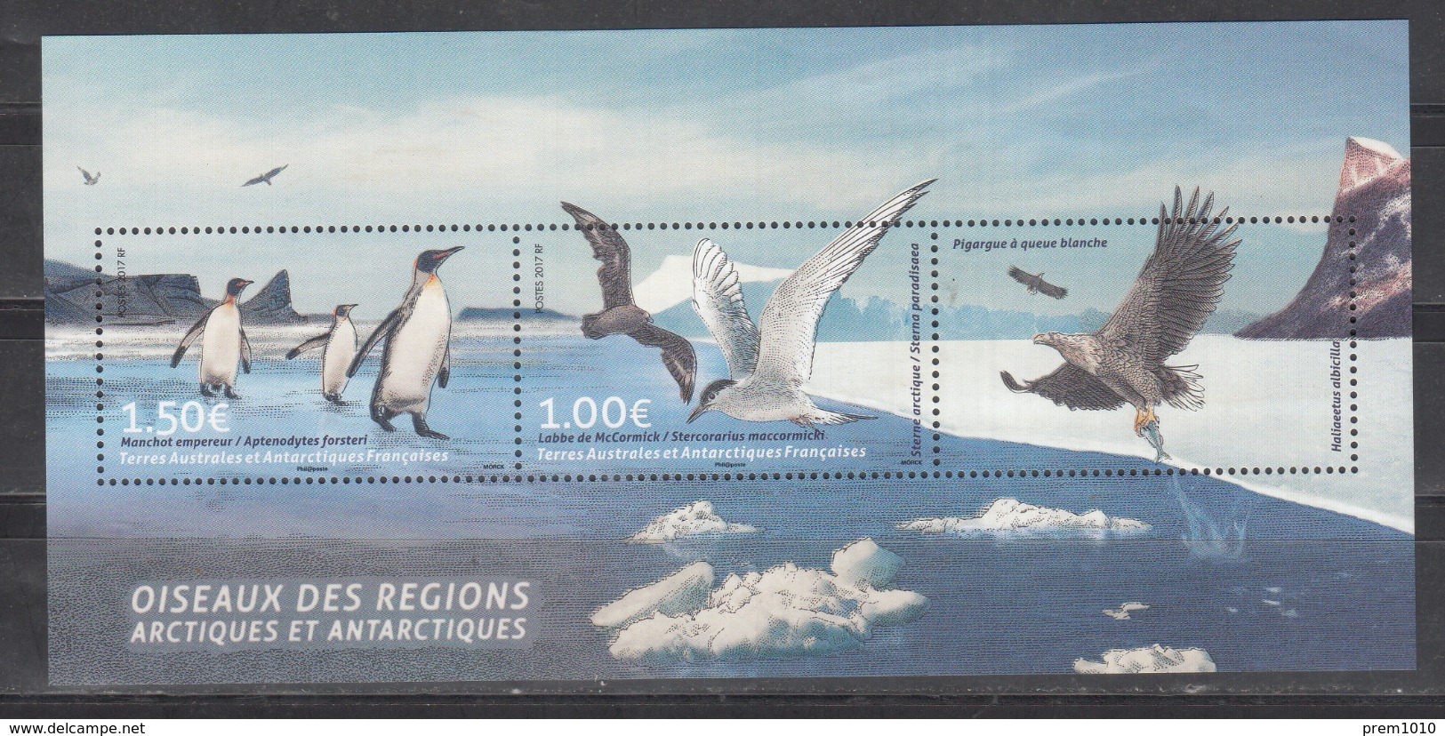 FRENCH ANTARCTIC TERRITORY 2017 -Arctic & Antarctic Birds- Arctic Tern & King Penguins- Vogel- Oiseaux -Aves- - Preserve The Polar Regions And Glaciers