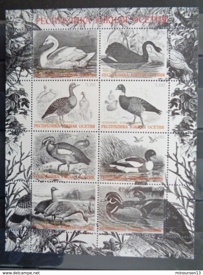 OSSTIE DU SUD - BLOC 8 TIMBRES - CANARDS ET OIES - Kaukasus