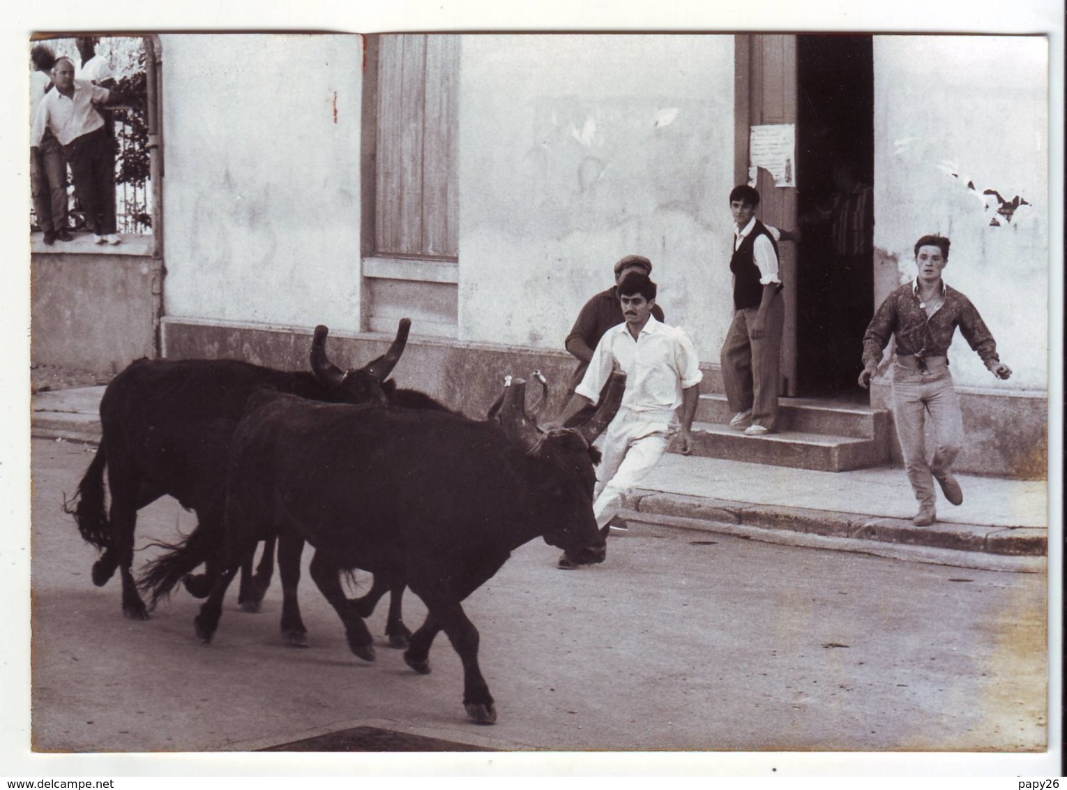 Photo, Toromachie  Photo Nahon Nimes 15x10cm - Sports