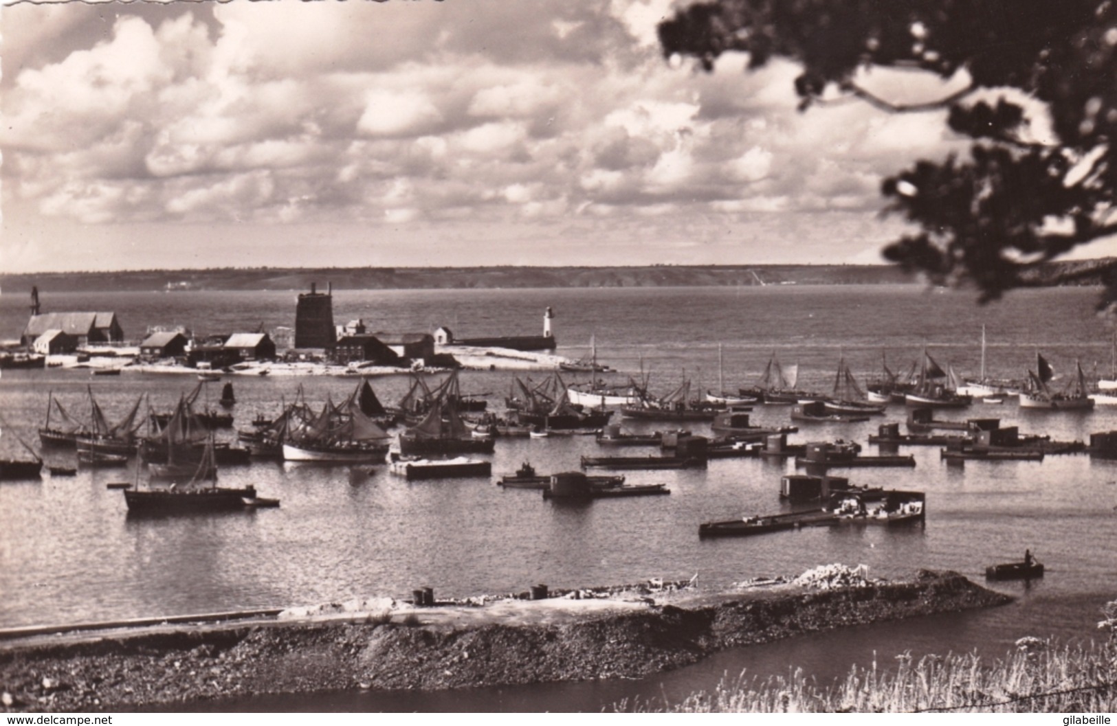 29 - Finistere -  CAMARET Sur MER - - Camaret-sur-Mer