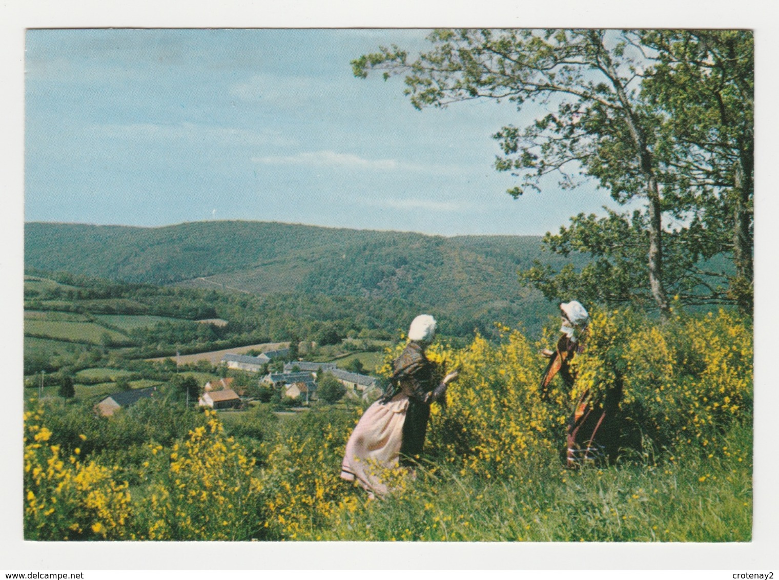 58 En Morvan La Cueillette Du Genêt Jeunes Femmes En Costume Postée De Château Chinon En 1971 - Sonstige & Ohne Zuordnung