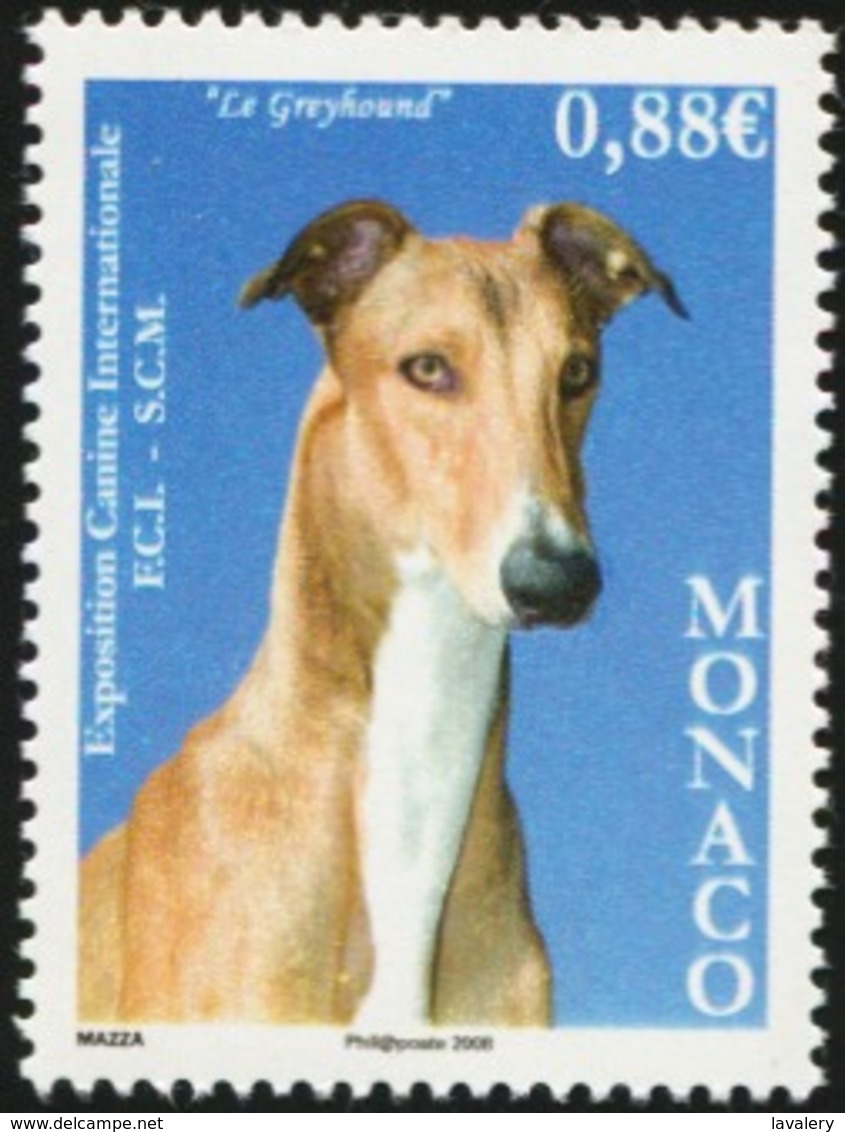 MONACO 2008 International Dog Show Monte Carlo Greyhound Dogs Animals Fauna MNH - Hunde