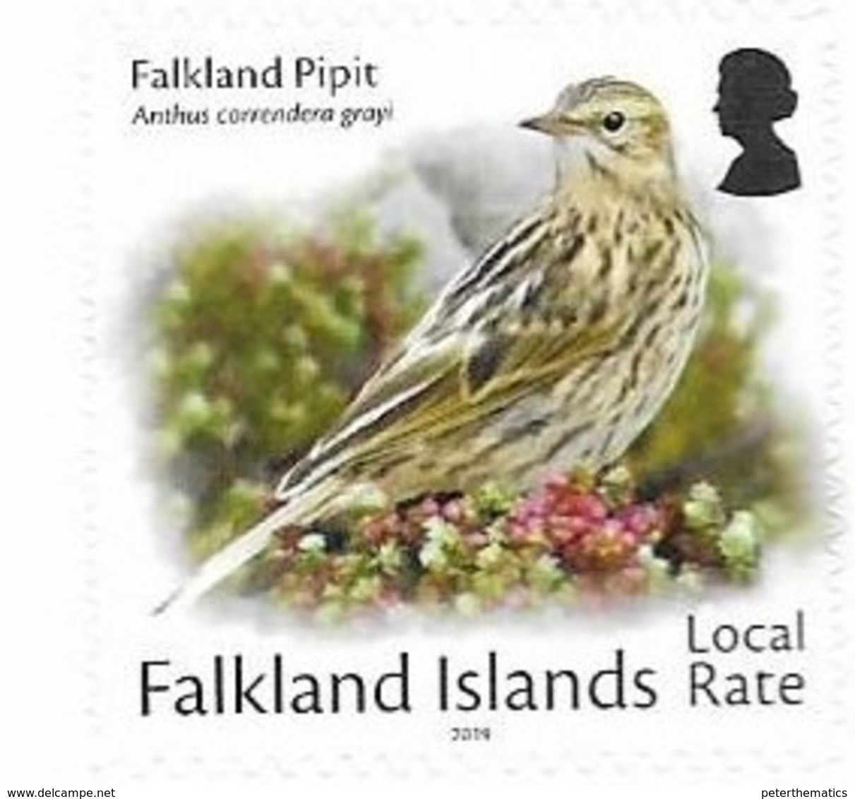 FALKLAND ISLANDS, 2019, MNH,  BIRDS, DEFINITIVES, REPRINT, 1v Ex. SELF ADHESIVE BOOKLET - Andere & Zonder Classificatie