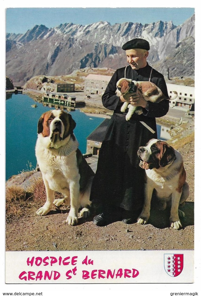 Grand Saint-Bernard - Chanoine Et Chien De L'Hospice - Cani