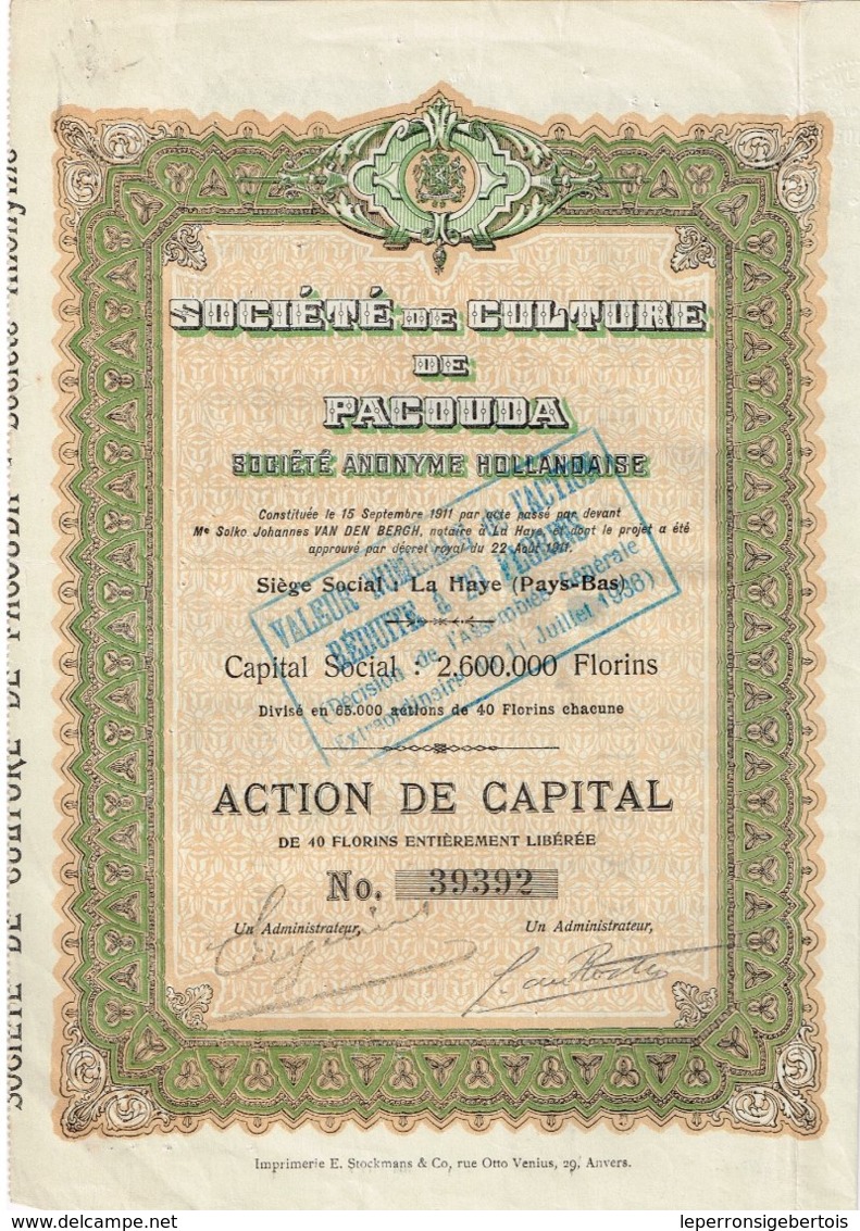 Titre Ancien - Société De Culture De Pacouda - Société Anonyme Hollandaise - Titre De 1911 - - Landbouw