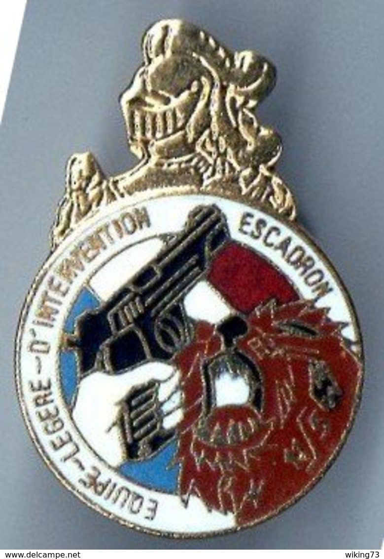 Pin's Equipe Légère D' Intervention De L' Escadron De Gendarmes Mobile 11/5 De Sathonay-Camp - Lion - - Militaria