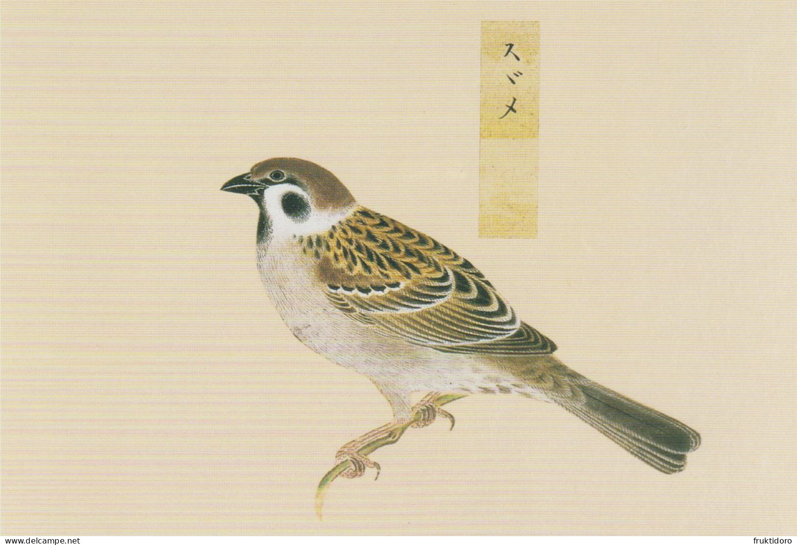 AKJP Japan Postcards Showing Paintings - Birds - Crested Ibis - Sparrow - Rufous-bellied Thrush - Sammlungen & Sammellose