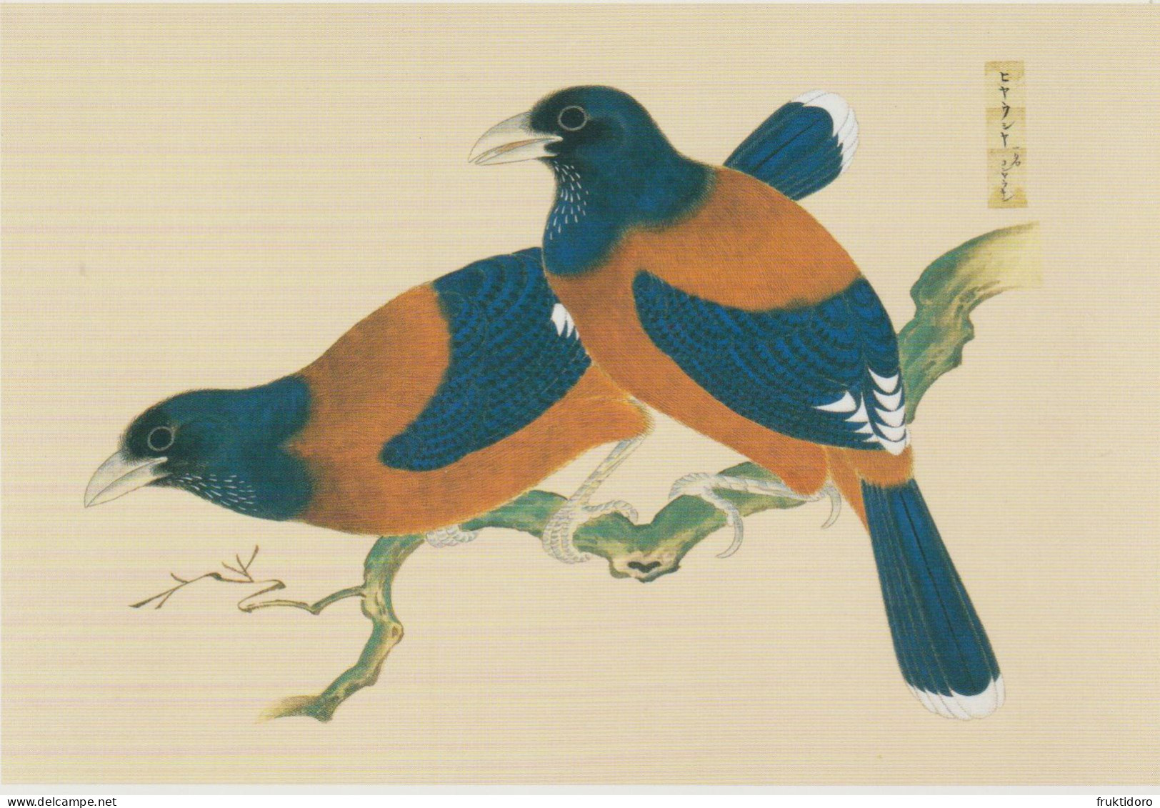 AKJP Japan Postcards Showing Paintings - Birds - Crested Ibis - Sparrow - Rufous-bellied Thrush - Verzamelingen & Kavels