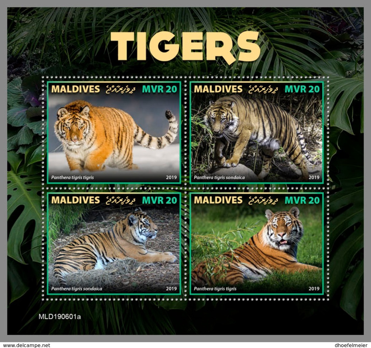 MALDIVES 2019 MNH Tigers Tiger Raubkatzen Tigres M/S - OFFICIAL ISSUE - DH1937 - Felini