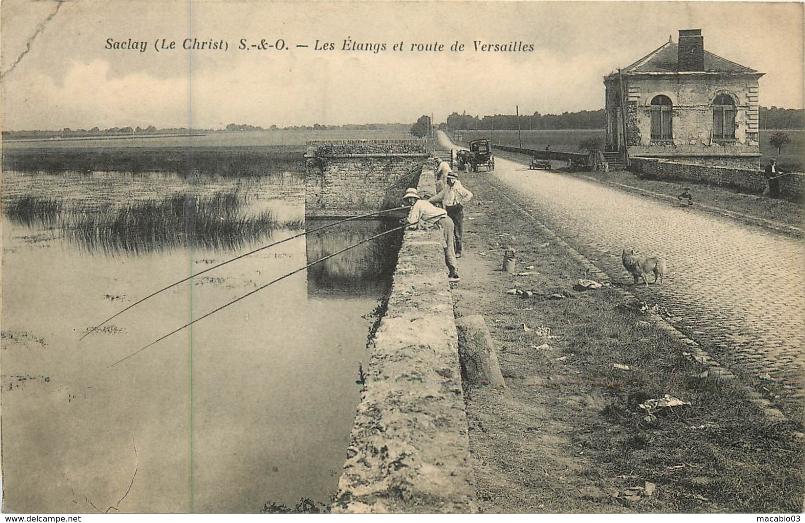 91 Essonne : Saclay  Les étangs Et Route De Versailles    Réf 7344 - Saclay