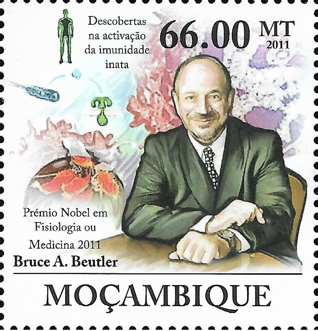 Mozambique Nobel Prize Medicine Bruce Beutler 1v Stamp MNH Michel:5267 - Other & Unclassified