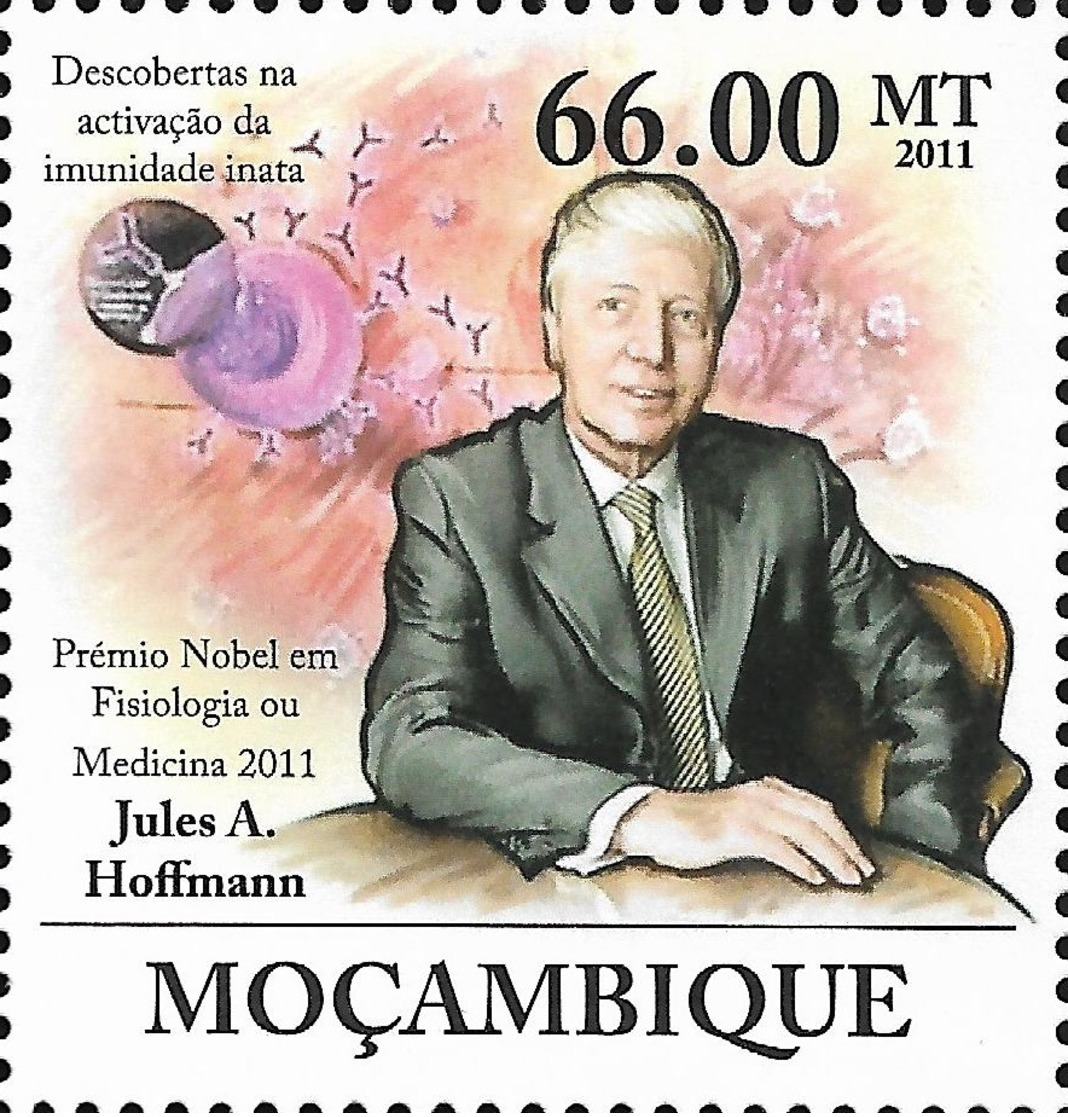 Mozambique Nobel Prize Medicine Jules A.Hoffmann France 1v Stamp MNH Michel:5269 - Other & Unclassified