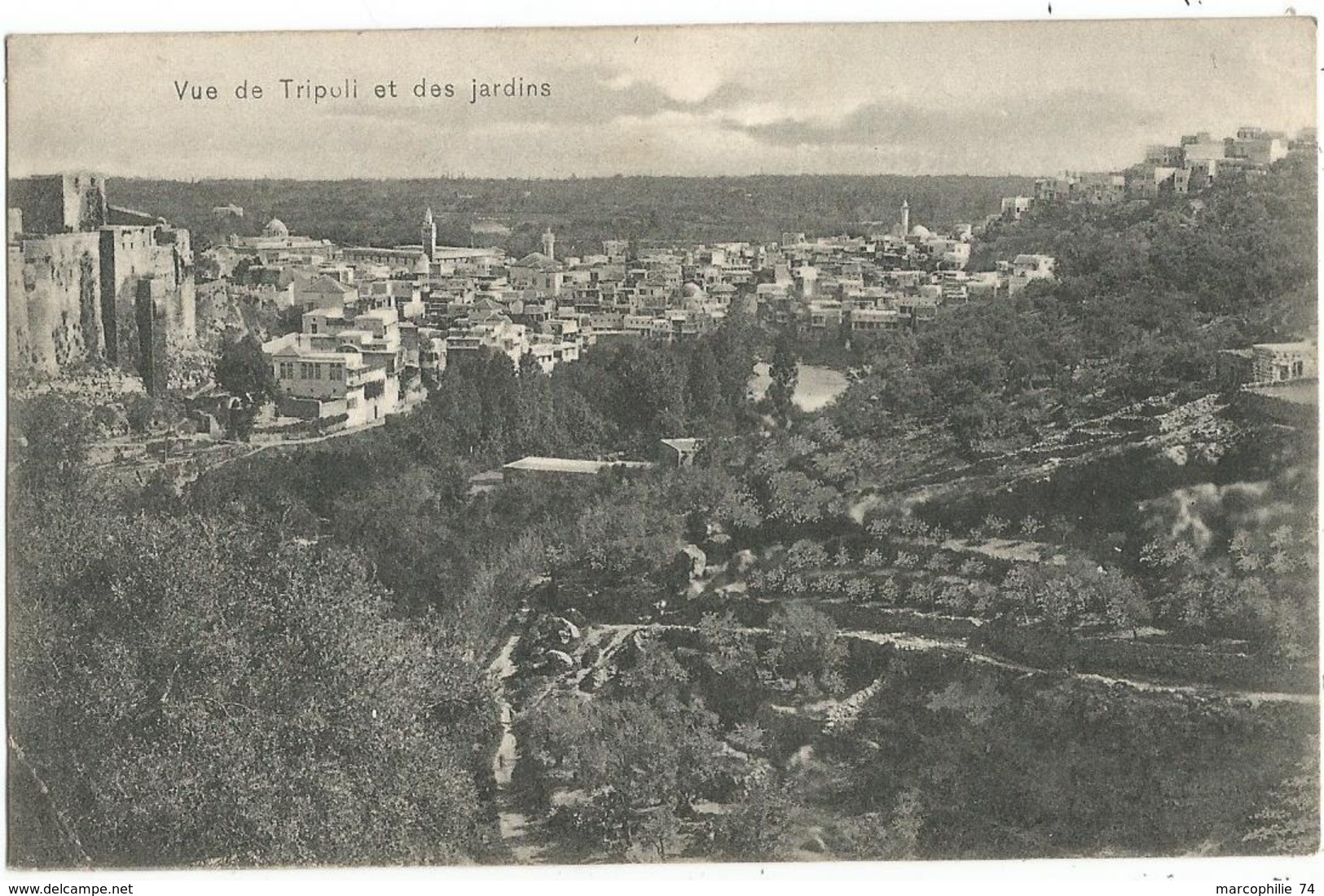 LEVANT 5C BLANC PAIRE FACTEUR BOITIER TRIPOLI SYRIE 27 JUIL 1910 CARTE TURQUIE  VUE DE TRIPOLI ET DES JARDINS - 1900-29 Blanc