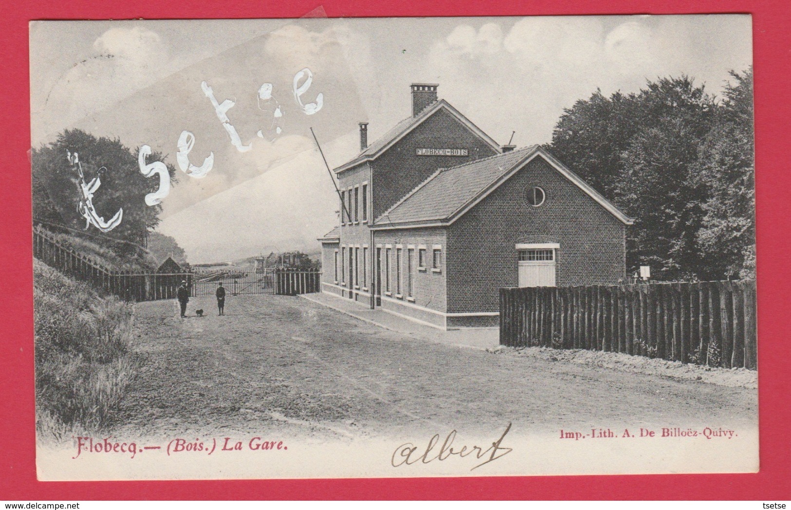 Flobecq / Vloesberg ( Bois ) - La Gare -1906 ( Voir Verso ) - Vloesberg