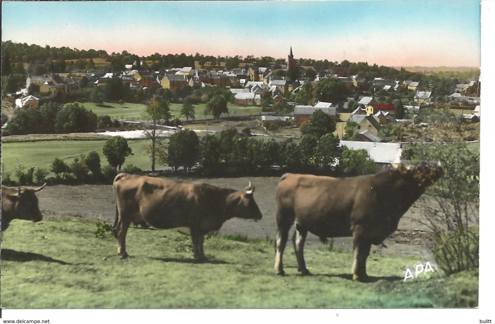 SAINTE GENEVIEVE SUR ARGENCE - Vue Panoramique - Otros & Sin Clasificación