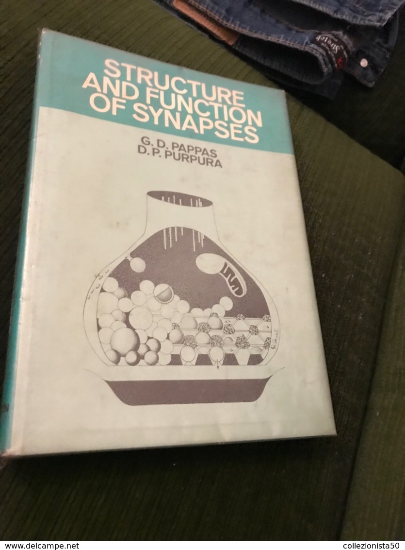 -strutture E Funzioni Della Sinapsi - Altri & Non Classificati