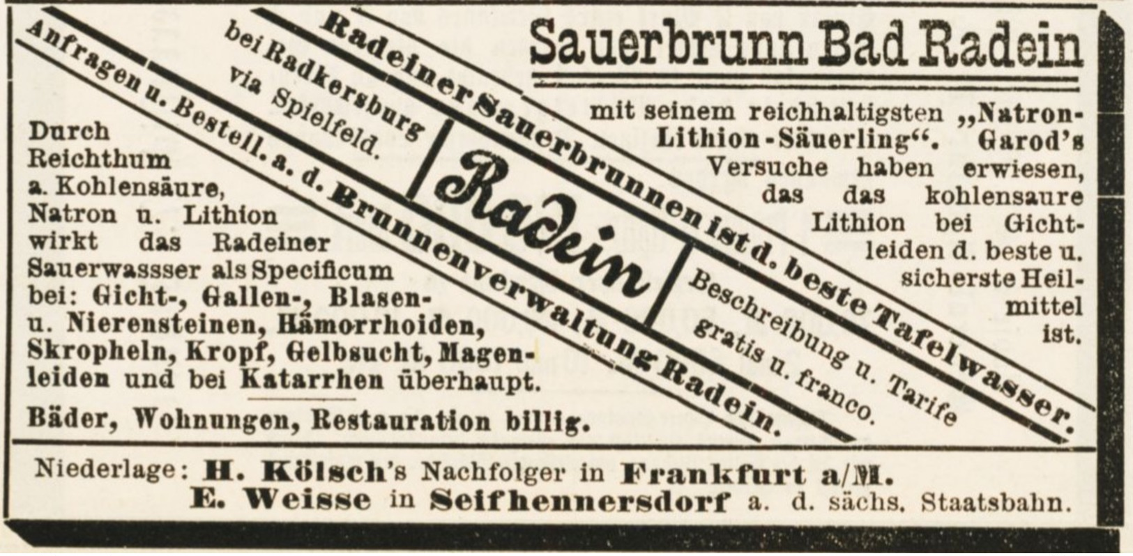 Original-Werbung/ Anzeige 1885 - SAUERBRUNN BAD RADEIN - Ca. 90 X 50 Mm - Werbung