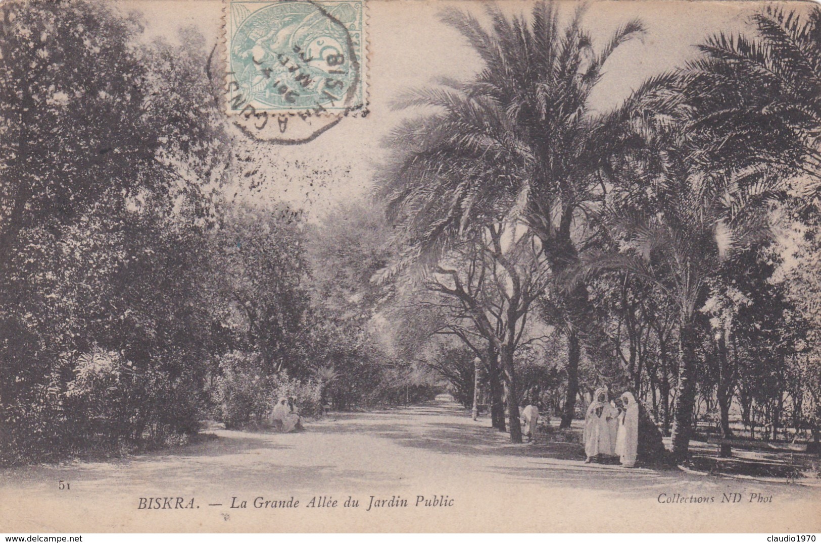 CARTOLINA - ALGERIA - BISKRA - LA GRANDE ALLèE DU JARDIN PUBLIC - Biskra