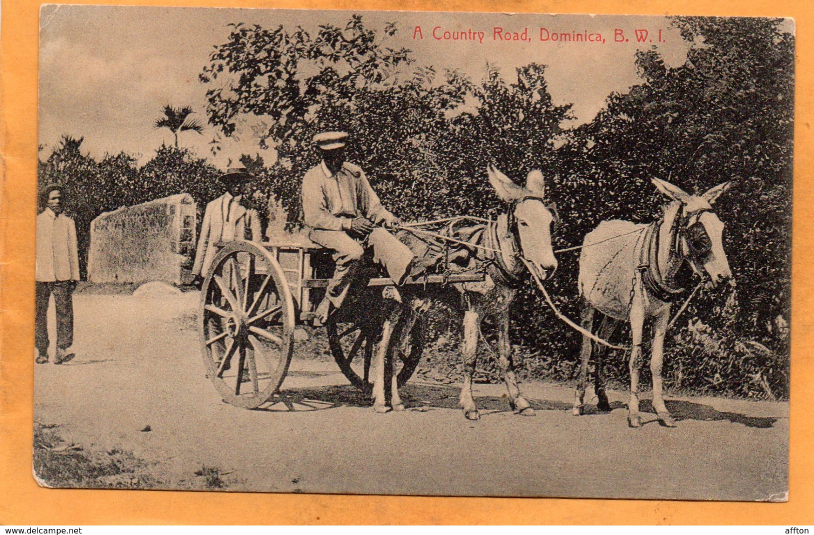 Dominica BWI 1908 Postcard - Dominica