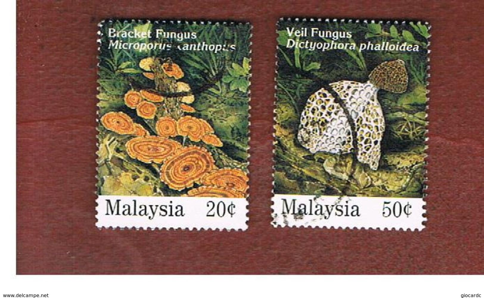 MALESIA (MALAYSIA)  -  SG 555.557  -   1995  MUSHROOMS  -  USED ° - Malesia (1964-...)