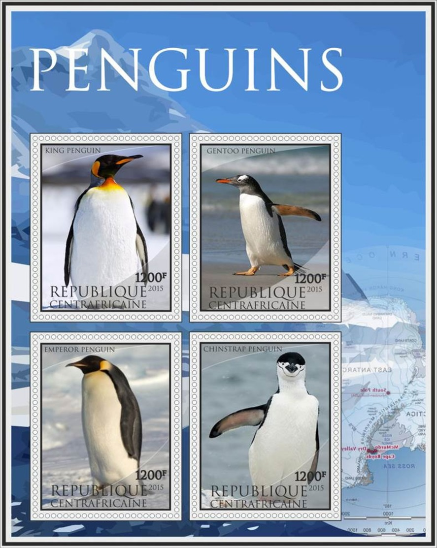 Pingouins - Penguins