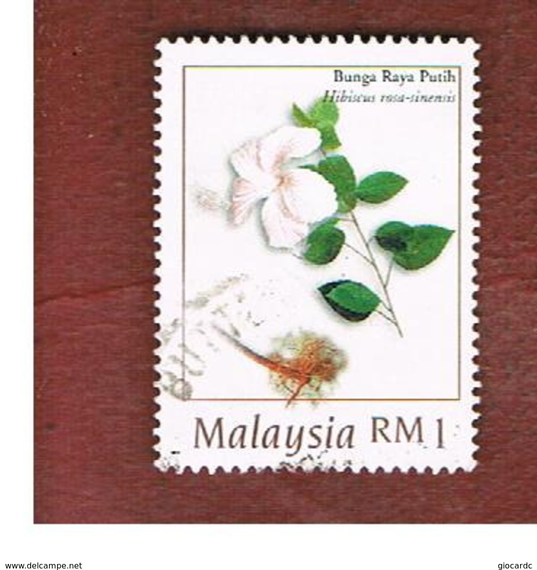 MALESIA (MALAYSIA)  -  SG 692  -   1998  MEDICINAL PLANTS: HIBISCUS ROSA-SINENSIS   -  USED ° - Malesia (1964-...)