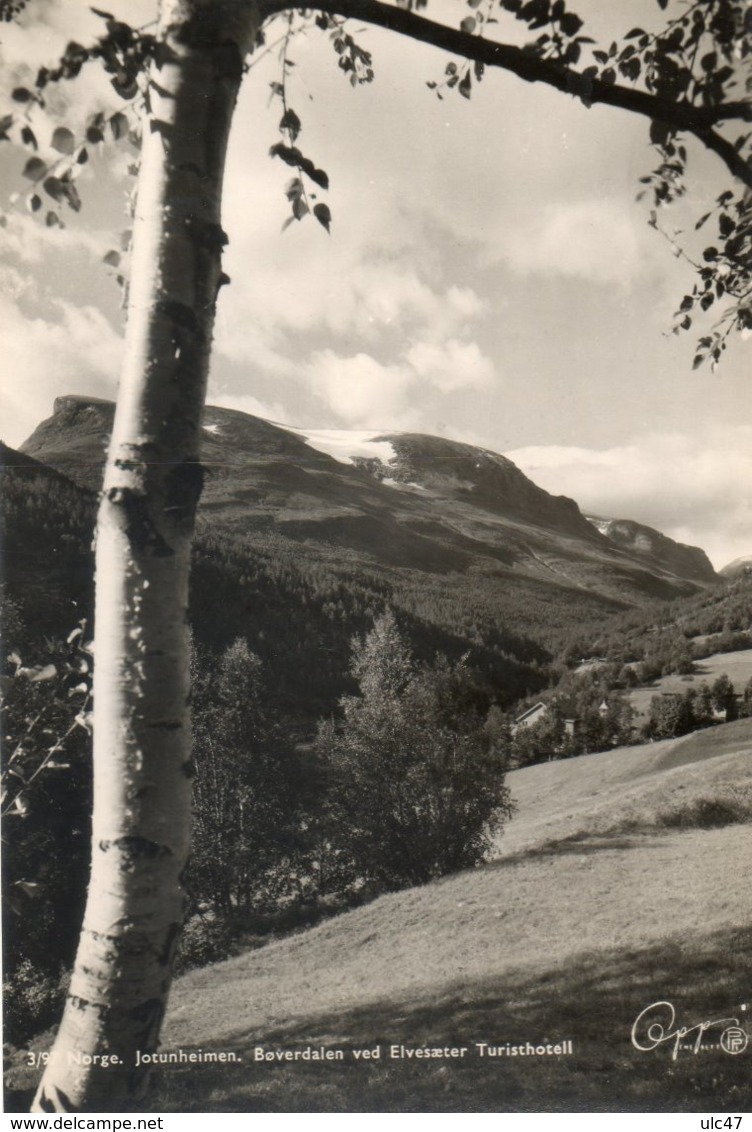 - NORGE. - Jotunheimen. Boverdalen Ved Elvesxeter Turisthotell - - Norvège