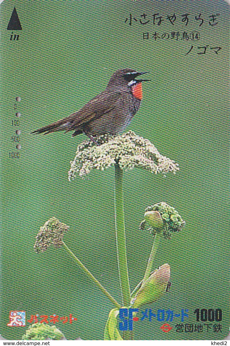 Carte JAPON - Série OISEAUX 14/16 - OISEAU - ROSSIGNOL CALLIOPE - NIGHTINGALE BIRD JAPAN Metro Card - 4473 - Songbirds & Tree Dwellers